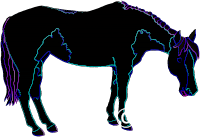 Neon Equine