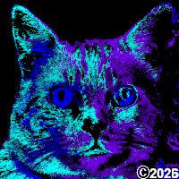 purple and blue cat