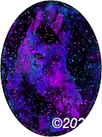 Equestrian Star Field