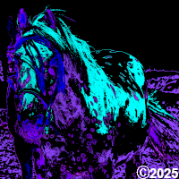 purple and blue horse