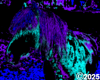 purple and blue horse