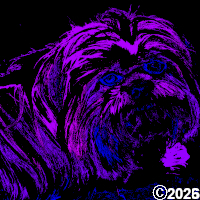 purple dog