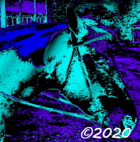 horse