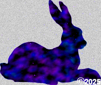 space rabbit