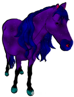Deep Space Equine