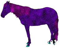 Fair Equine Nebula