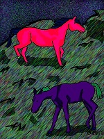 picture of horses