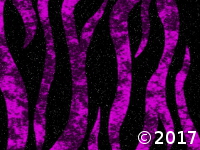 megenta zebra strips