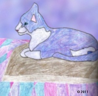 purple cat