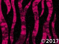 pink zebra strips