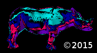 rhinoceros