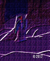 picture of woman in a snowy forest